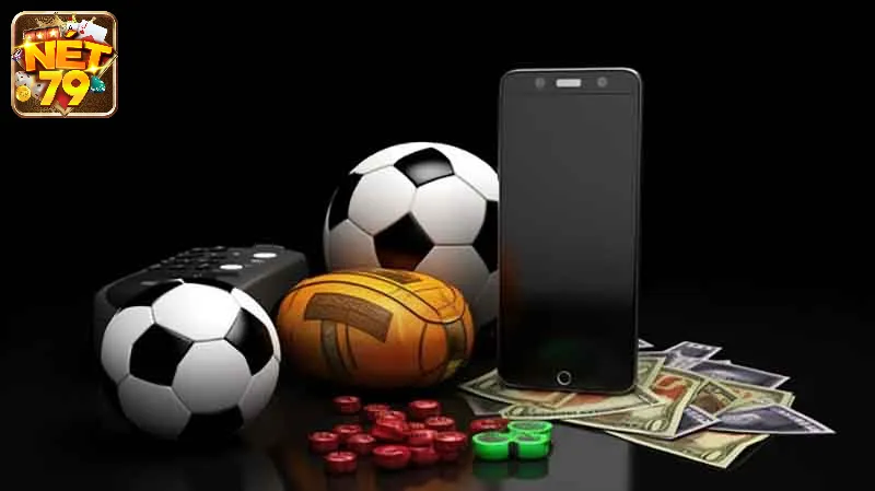 Nắm vững các điều khoản và điều kiện